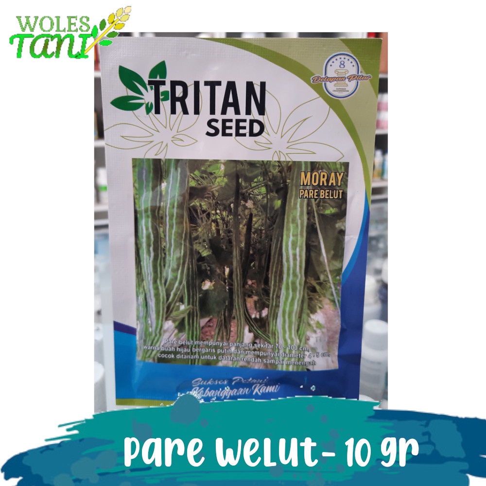Benih Pare Welu Pare Belut Moray 10 Gram