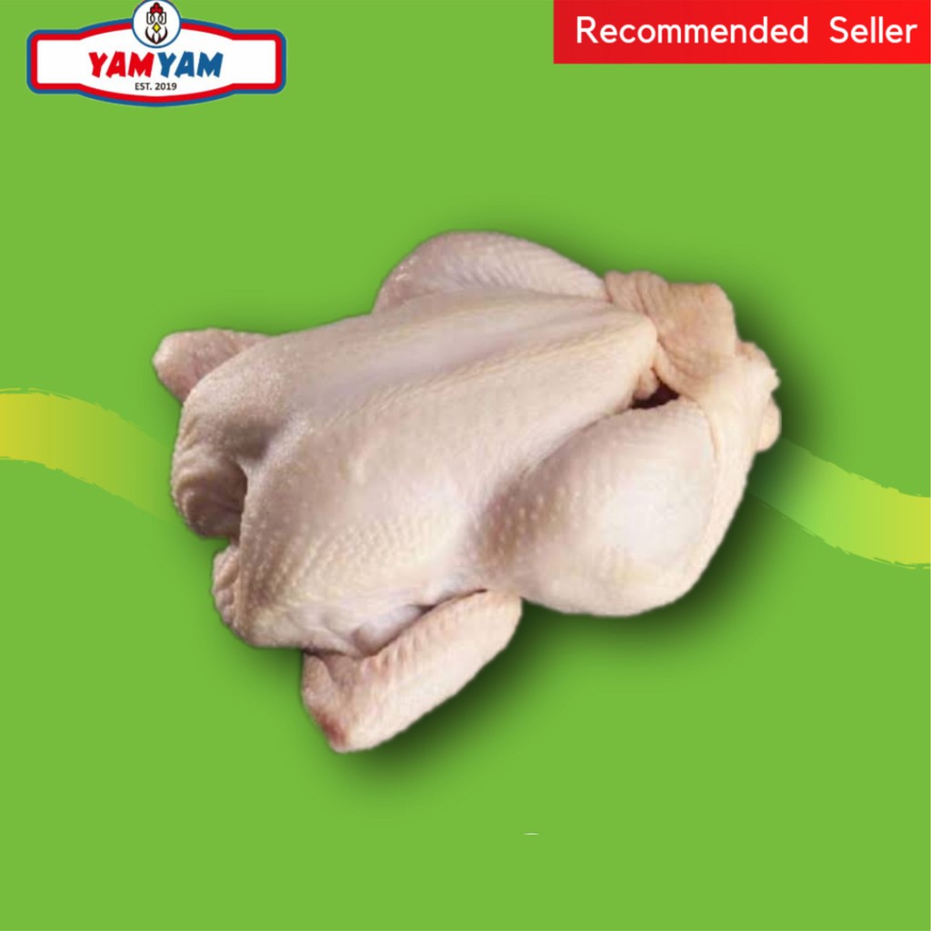 Jual Jual Ayam Utuh Karkas 09 Ons Ayam Potong Segar Broiler Fresh