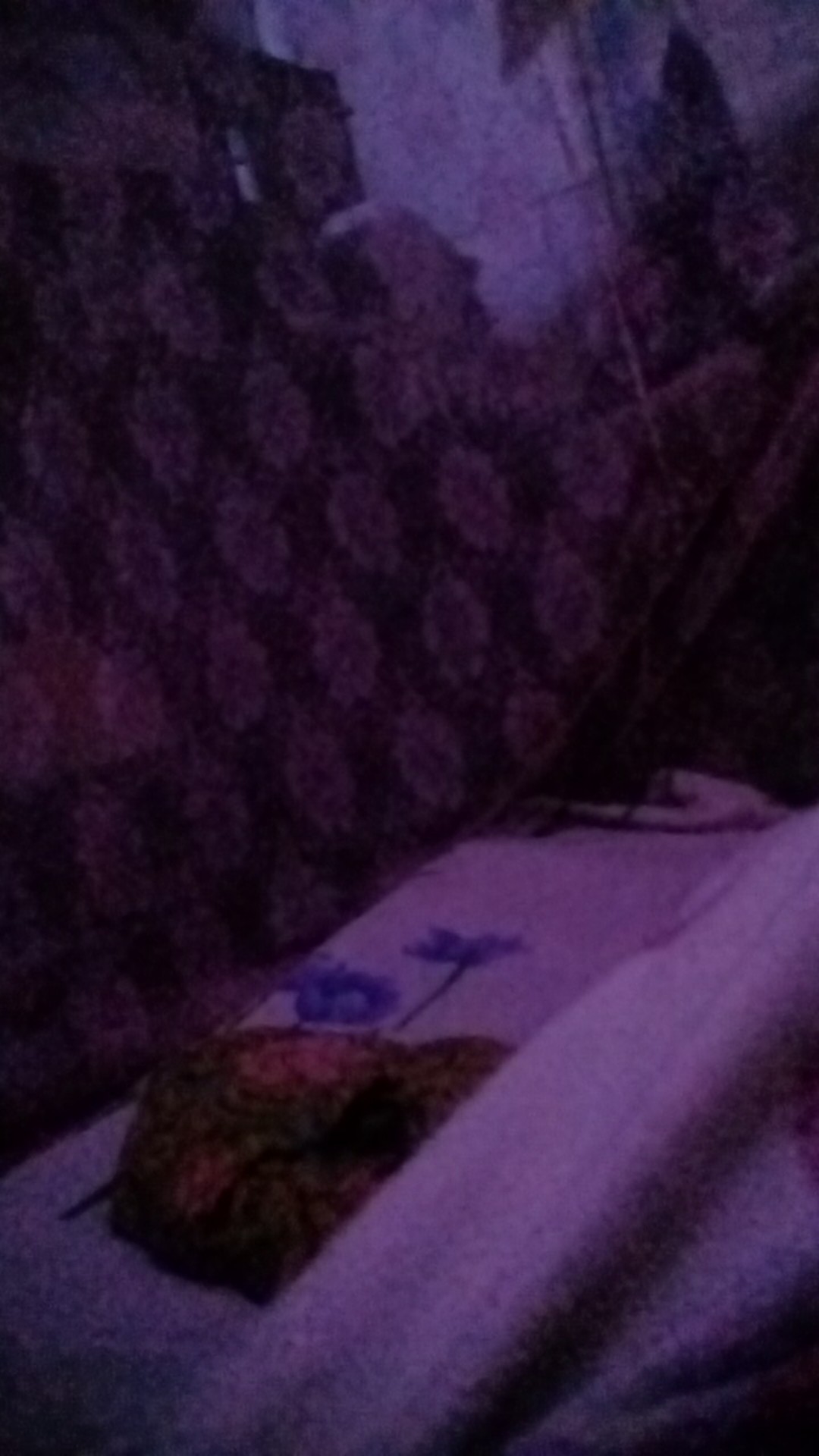 Ignition Coil Et900-950 Genset 2 Tak 1000 Watt