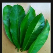 

daun sirsak 30 lmbar herbal