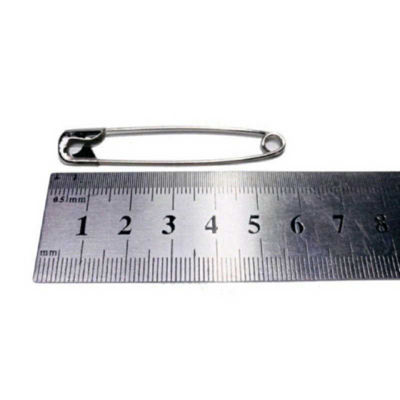 PENITI 5,5 CM ISI (12PCS) /PENITI STAINLESS