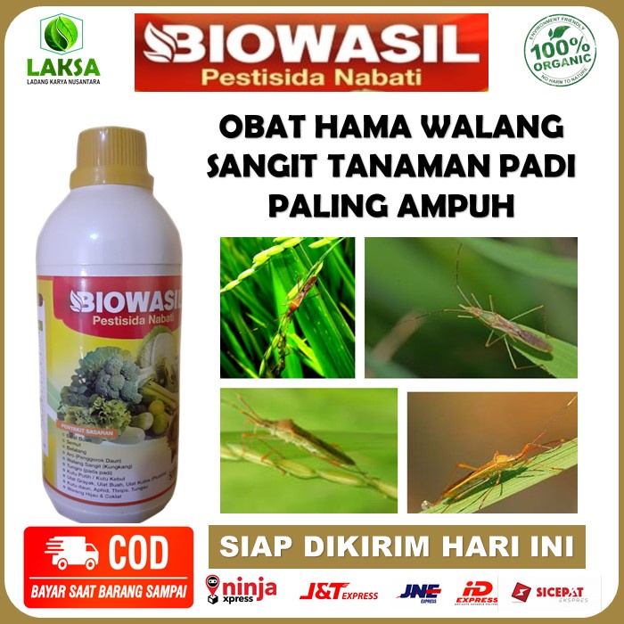 Pestisida Insektisida Biowasil Obat Hama Walang Sangit Padi - Obat Semprot Hama Walang Sangit Paling