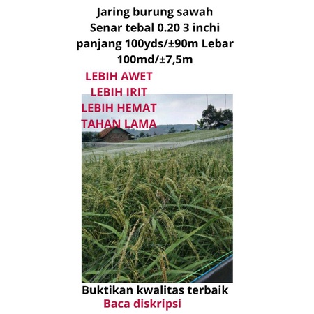 Jaring burung pipit Jaring burung emprt Bonus tali Senar Tebal 0.20 3 inchi  7,5mx100yds Jaring burung sawah Jaring ikan Jaring pelindung padi sawah Jaring padi