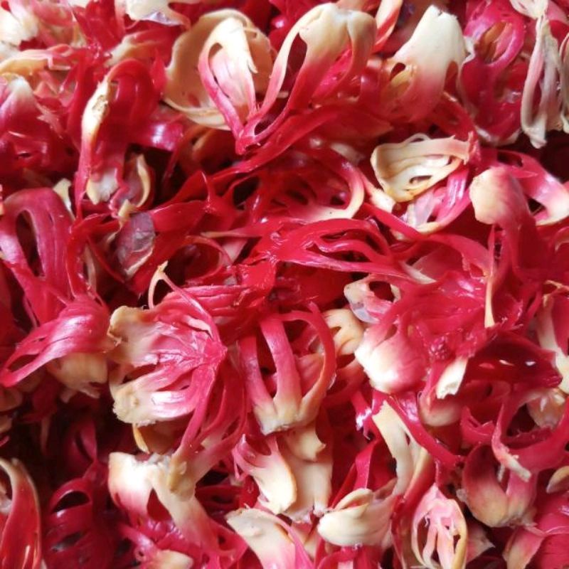 

Kulit ari biji buah pala kulit dalam pala kering