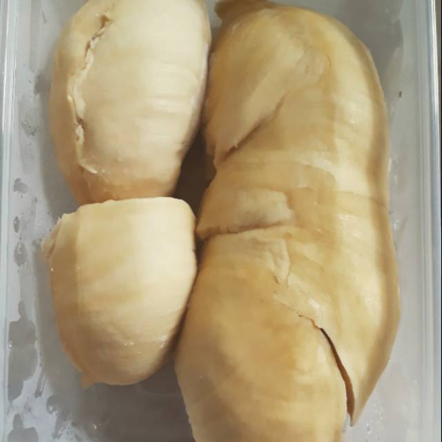 

Durian Montong