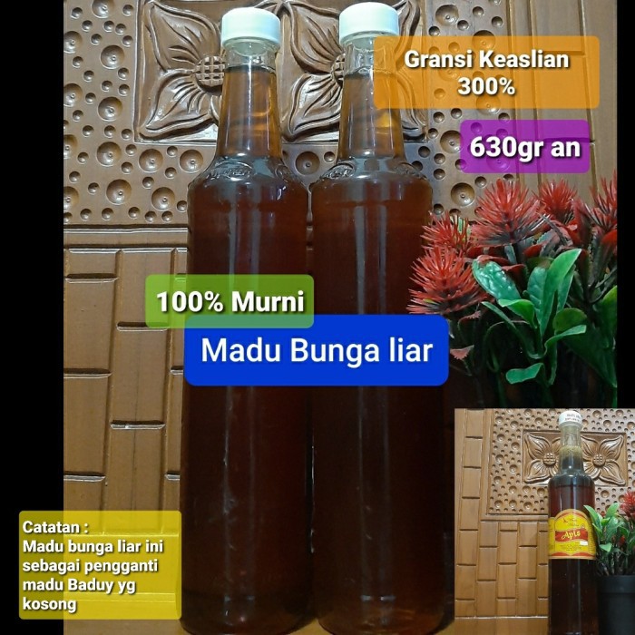 

Promo Spesial MADU HUTAN BADUY ASLI DAN MURNI Murah