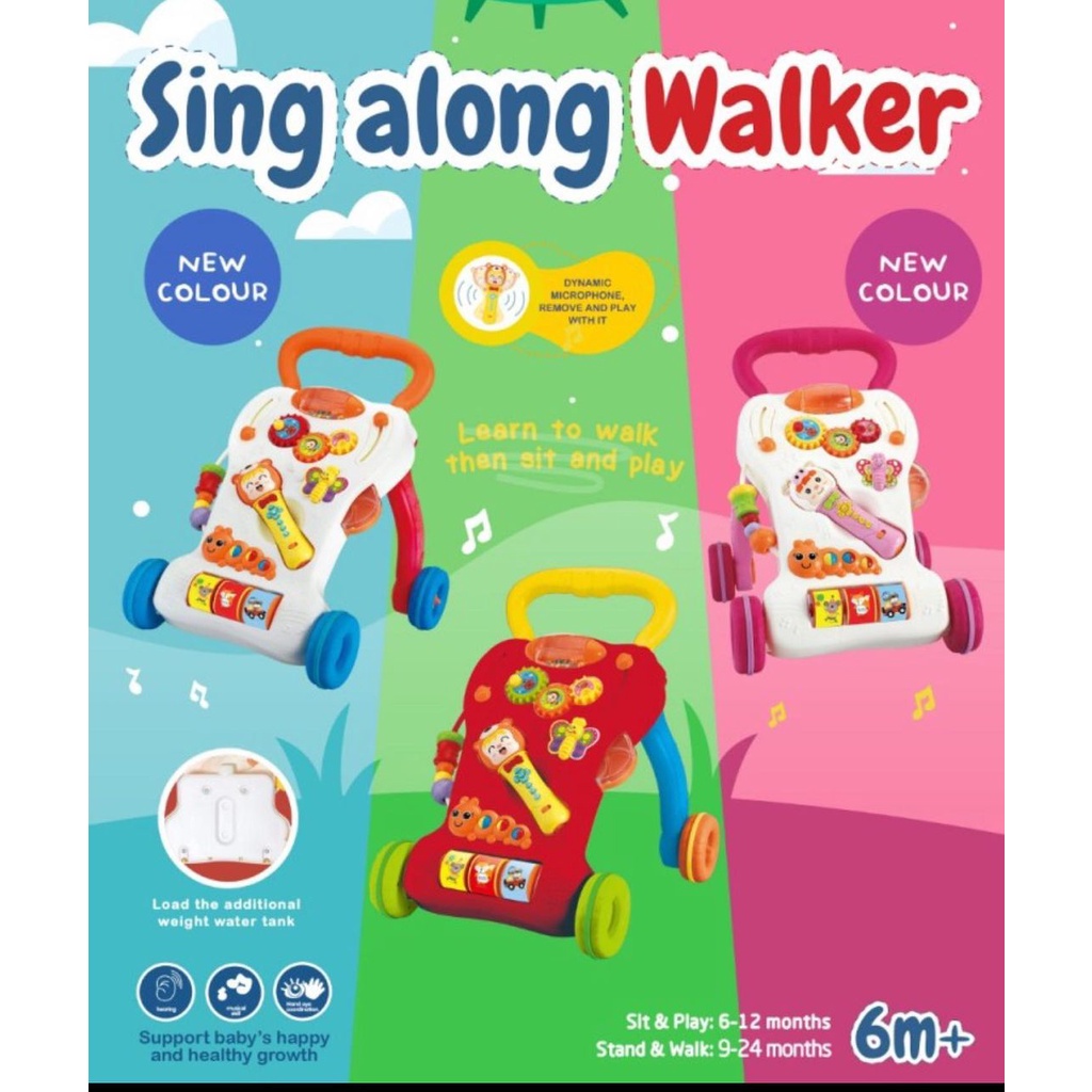 Bebe Smart Sing Along Walker