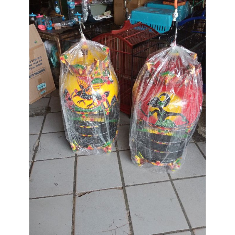 SANGKAR PERKUTUT MAHKOTA MERAK [SURABAYA]