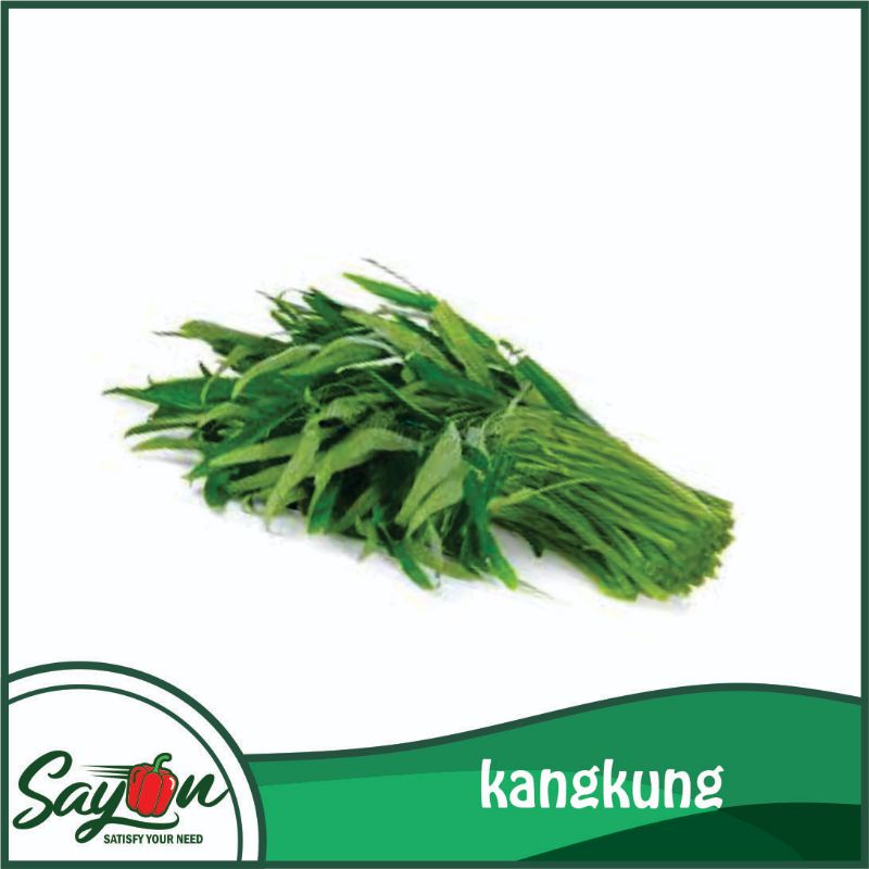 

Kangkung , Sayur Kangkung - Sayon Jogja