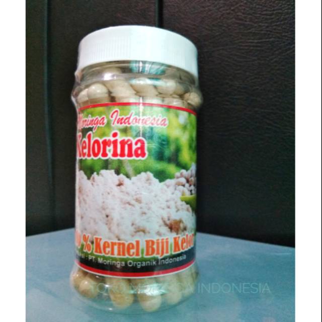 Kapsul Biji Kelor - Kelorina