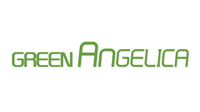 Green Angelica Authorized Store Yogyakarta