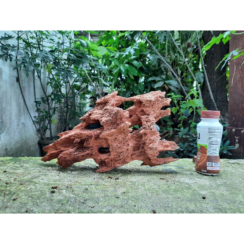 Kayu Rentek Aquascape Size M