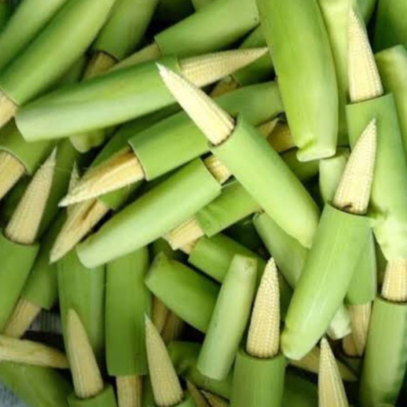 

JAGUNG MUDA (PUTREN) 250 GRAM