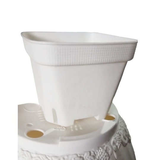 Pot Sofi L Pot Kotak Diameter 10 Cm