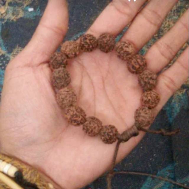 DIET GELANG BIJI GANITRI