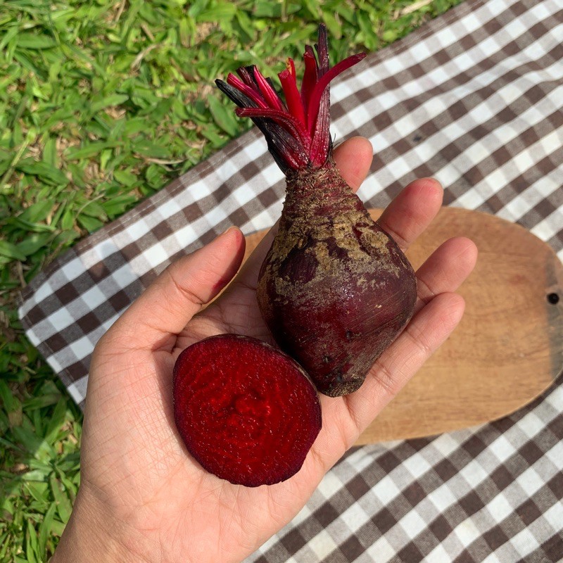 

BUAH BIT / BIT / BEETROOT / UBI BIT MERAH