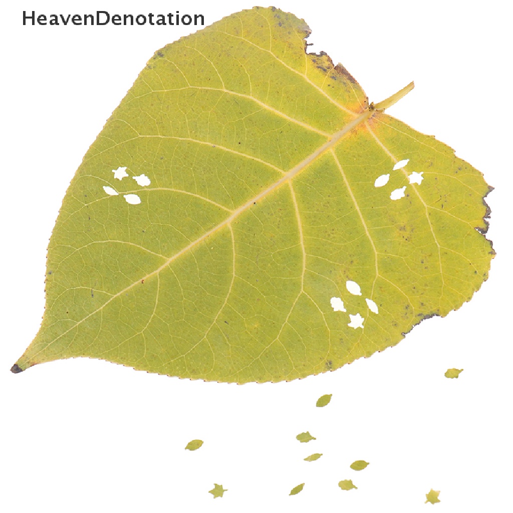 (Heavendenotation) Mesin Emboss Daun True Deciduous 1 / 35 4 In 1 Diy