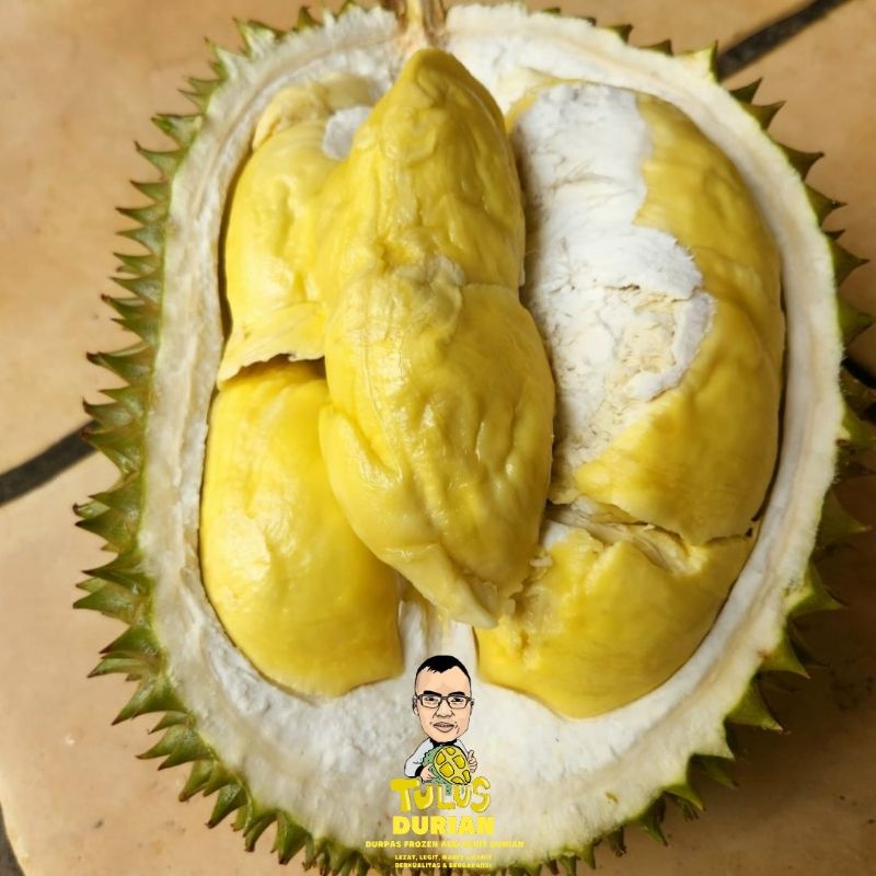 

Durian Bulat Utuh Matahari Best Seller