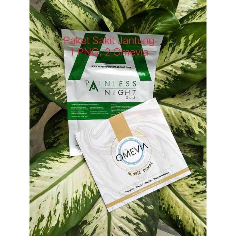 PAKET PENYAKIT JANTUNG , PNG & OMEVIA ONE MORE