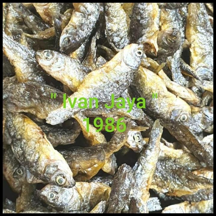 

Ikan Danau Singkarak/Bilih Kecil/Bilis/Tawar Padang 1Kg/1000 Gram