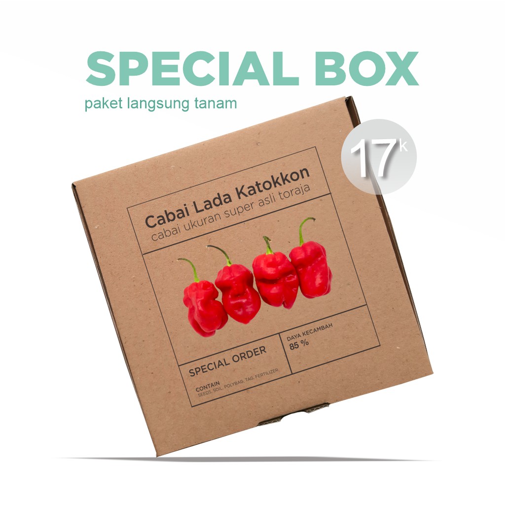 Paket Langsung Tanam - Gardening Kit - SPECIAL BOX - Benih Cabai Lada Katokkon Super (Asli Toraja) Pepper Seeds