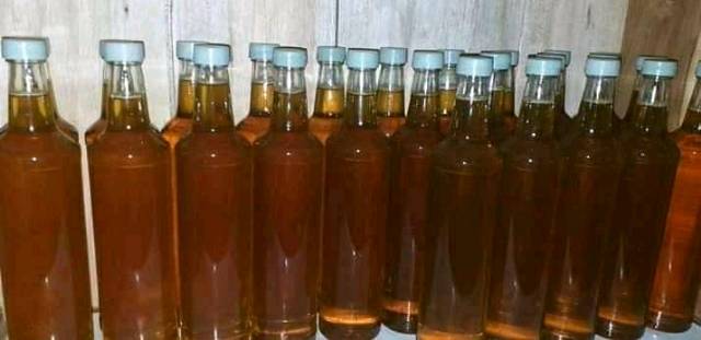 

Madu Lebah Asli Wilis