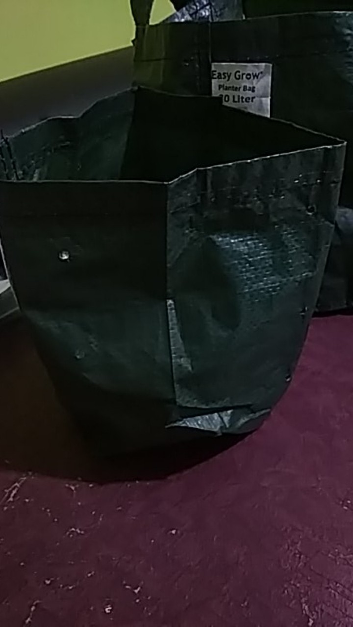 Planter Bag Easy Grow 5 Liter - Hijau