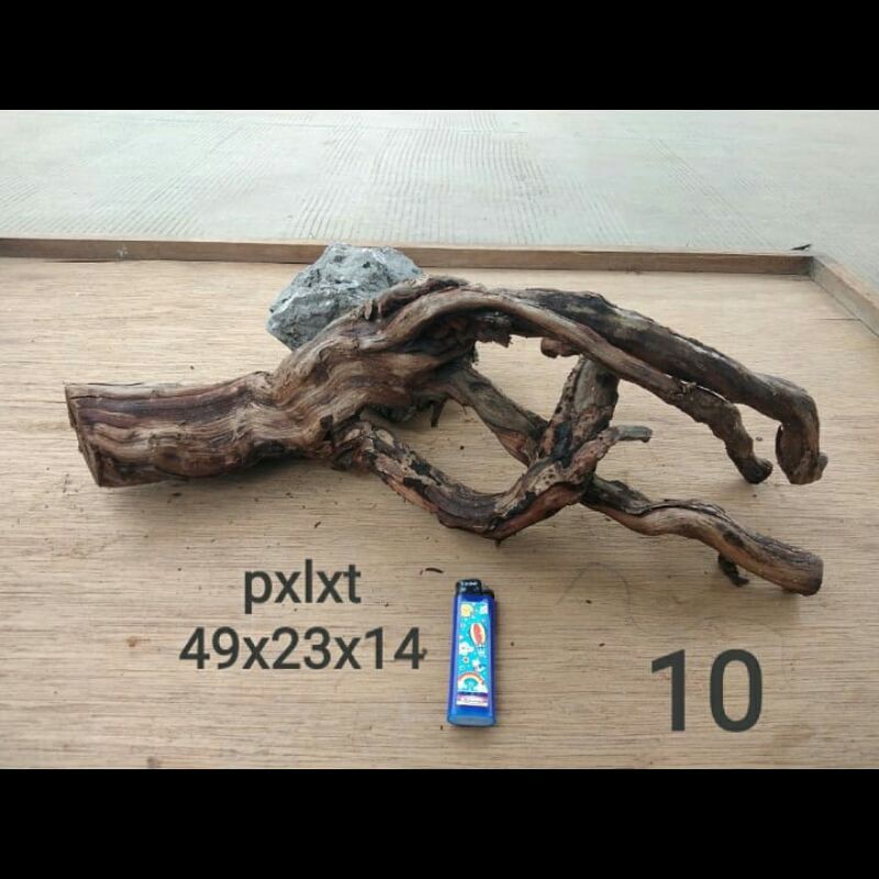 Santigi Karang/Santigi Laut Aquascape 10