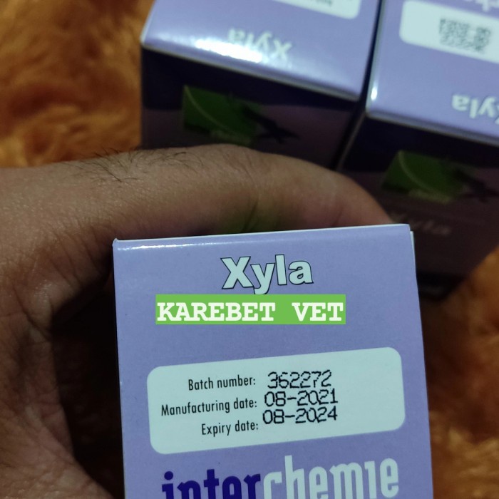 Xyla Holand 50ml obat anastesi