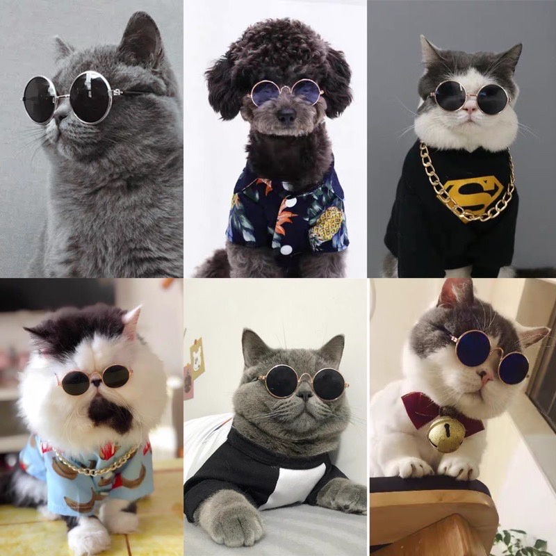 KACAMATA KUCING ANJING - Kacamata Gaya Keren Aksesoris Hewan Foto Fashion Kucing Anjing Pet Sunglasses