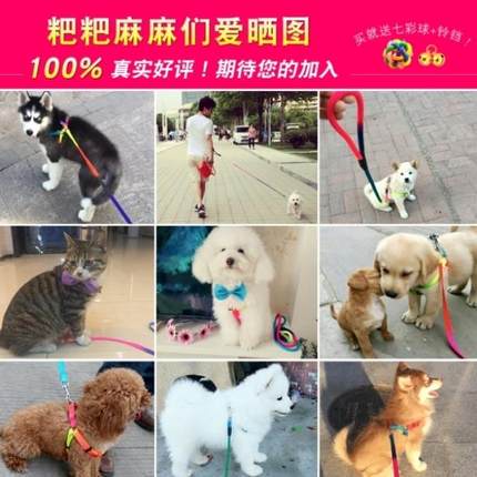 Anjing memimpin Harness Adjustable Breakaway Rainbow Nylon Kelinci Kecil Kucing tali kerah breast-band