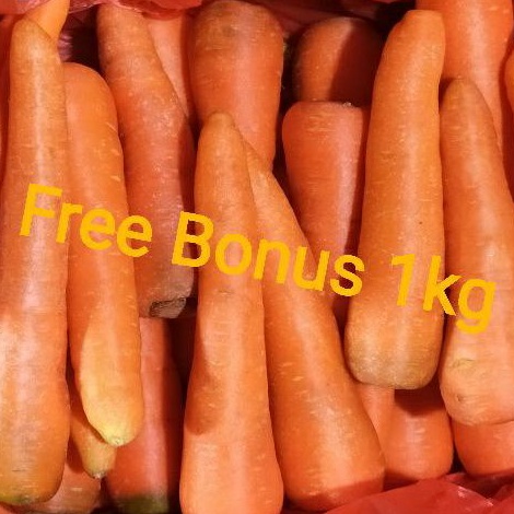 

Wortel Brastagi 500gr + Gratis Bonus