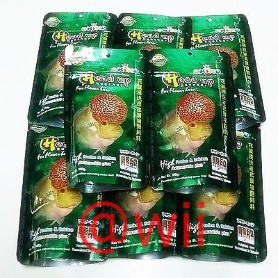 Okiko hijau Head Up Huncher makanan pakan ikan louhan 100gr