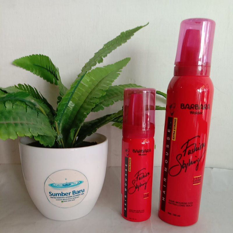 BARBARA /BARBARA WALDEN /BARBARA HAIR MOUSSE /BARBARA FASHION STYLING /BARBARA WALDEN HAIR MOUSSE