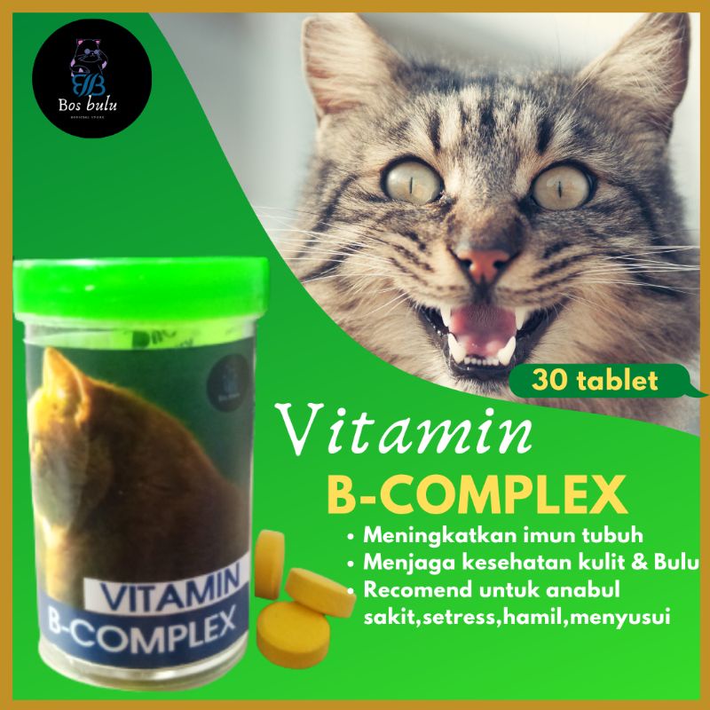 vitamin b complex untuk nafsu makan kesehatan kulit bulu daya tahan tubuh kucing 30 tablet