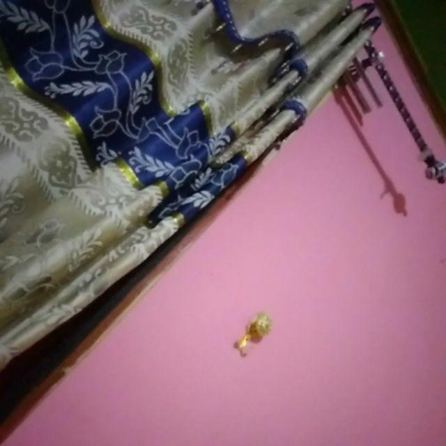 Bibit Anggrek Dendro - Seedling Hybrid Dendrobium Melintir - Keriting