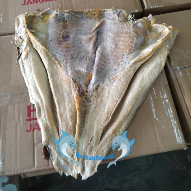 

Ikan Asin Jambal Roti Daging POTONG 250GR / jambal Super