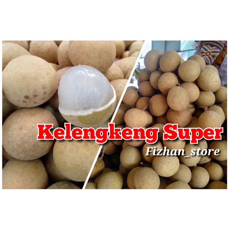 

Kelengkeng Super Kualitas Ekspor Kemasan 1kg