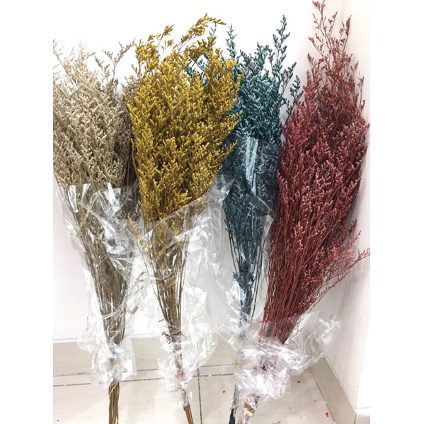 [1 BUNCH] Caspea preserved flower / dried flower (bunga awetan)