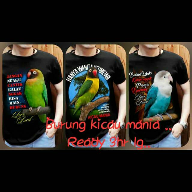 Kaos Distro Kaos Cowok Keren Gambar Burung Kicau Mania Lovebird 3