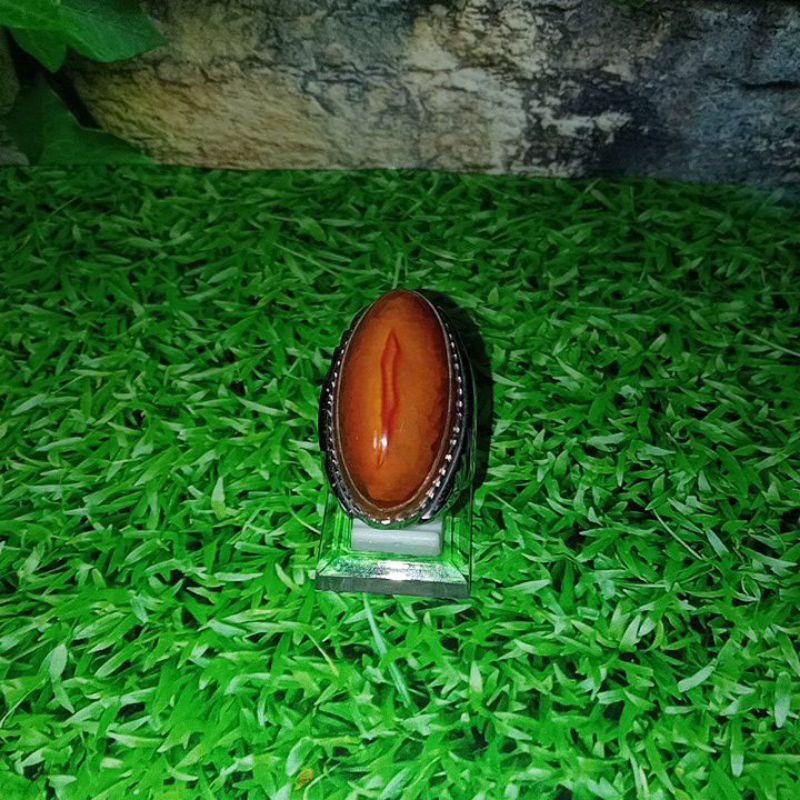 cincin batu akik pandan unik