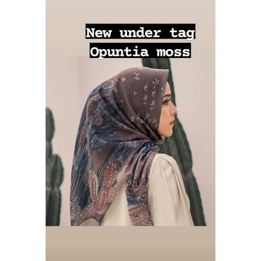 new BS opuntia Moss dan forest