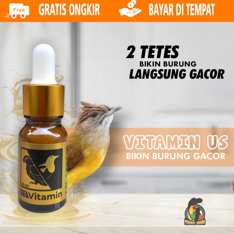 Vitamin burung kapas tembak vitamin us bikin burung gacor