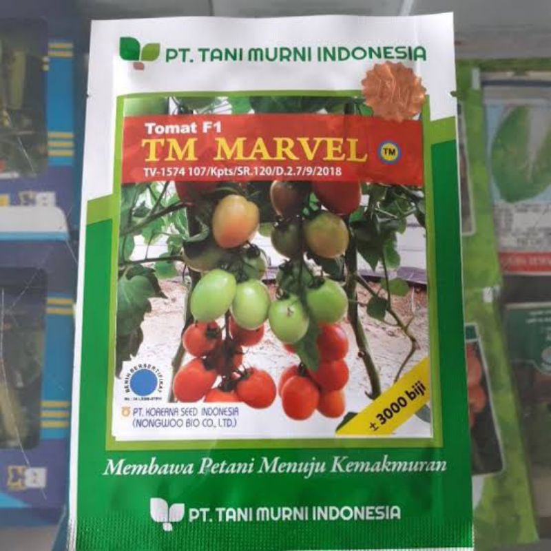 BENIH TOMAT TM MARVEL F1/10 GRAM