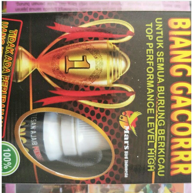 biang gacor/pengacor burung/biang gacor/