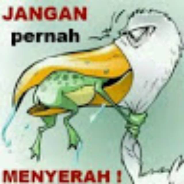 52 Gambar Burung Perkutut Kartun HD Terbaru