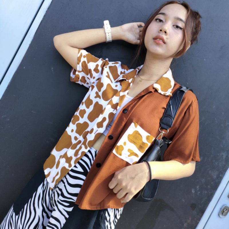 two tone kemeja-Sapi bata pendek