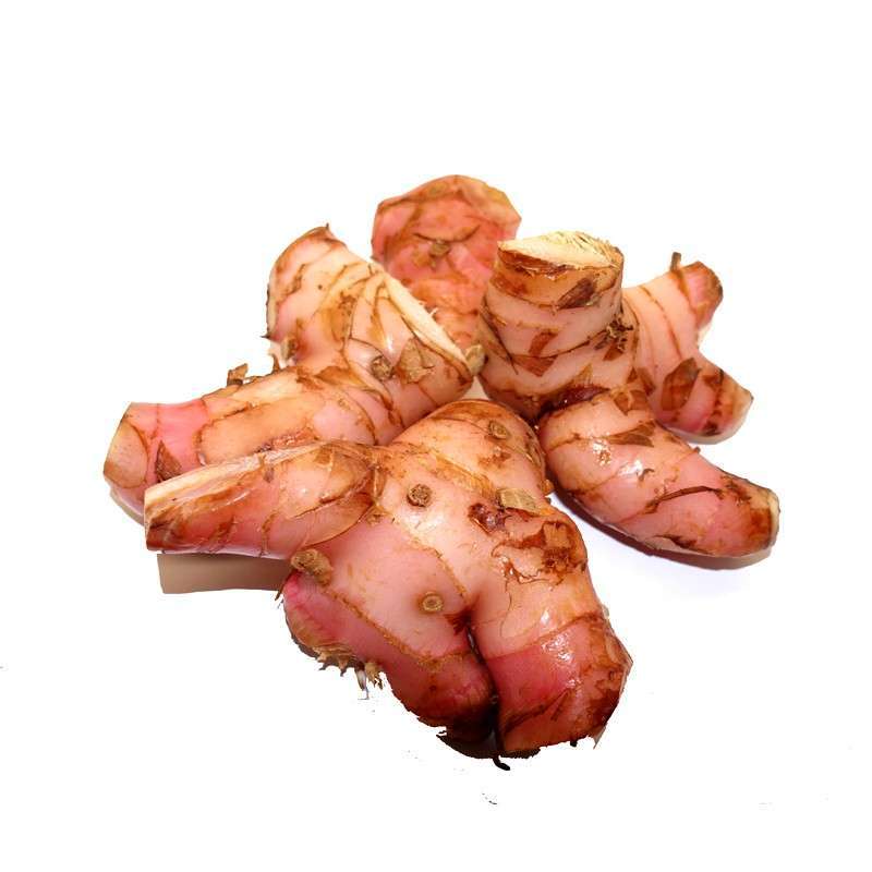 

PASAR SEGAR - LENGKUAS / LAOS 250GR