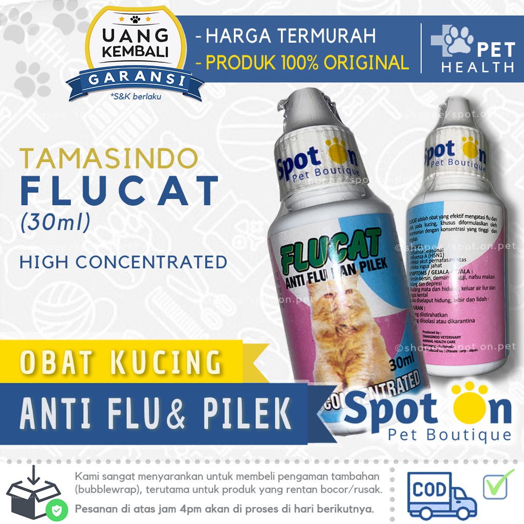 Obat Flu dan Pilek Kucing &amp; Anjing Flucat &amp; Max Flu | Obat Flu Kucing | Flu Cat Obat Pilek Kucing