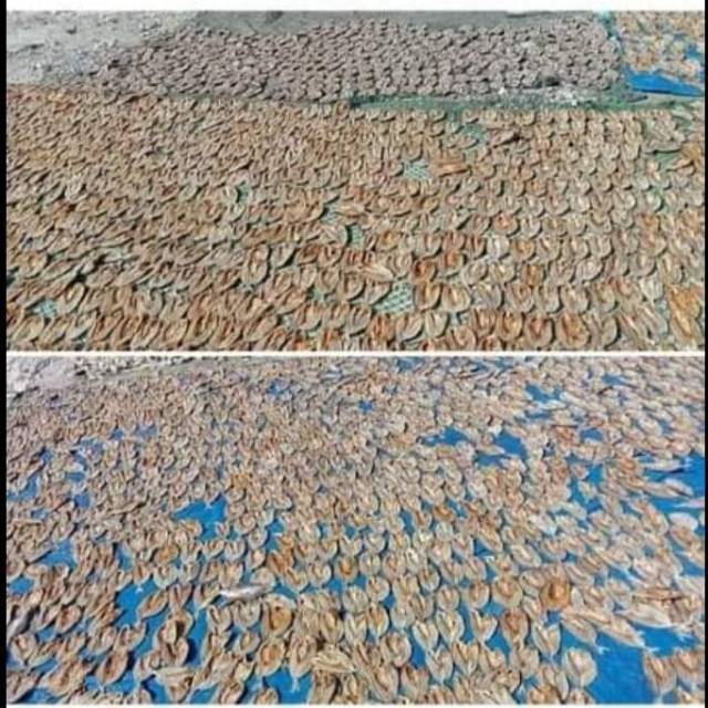 

IKAN ASIN BARU (LOLOSI 1000 gr)